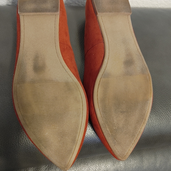 Torrid Flats - Picture 12 of 15